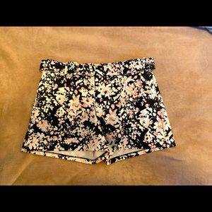 Express belted ‘shortie’ shorts